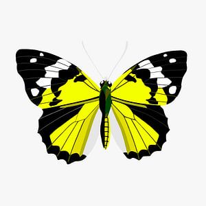 Papillon - jaune sur Jole Art (Annejole Jacobs - de Jongh)