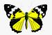 Schmetterling - gelb von Jole Art (Annejole Jacobs - de Jongh)