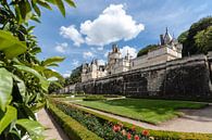 Le château de Rigny-Usse. Val de Loire, France par Fotografiecor .nl Aperçu