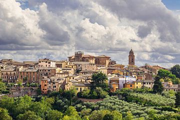 Uitzicht over de oude stad van Siena in Italië van Rico Ködder