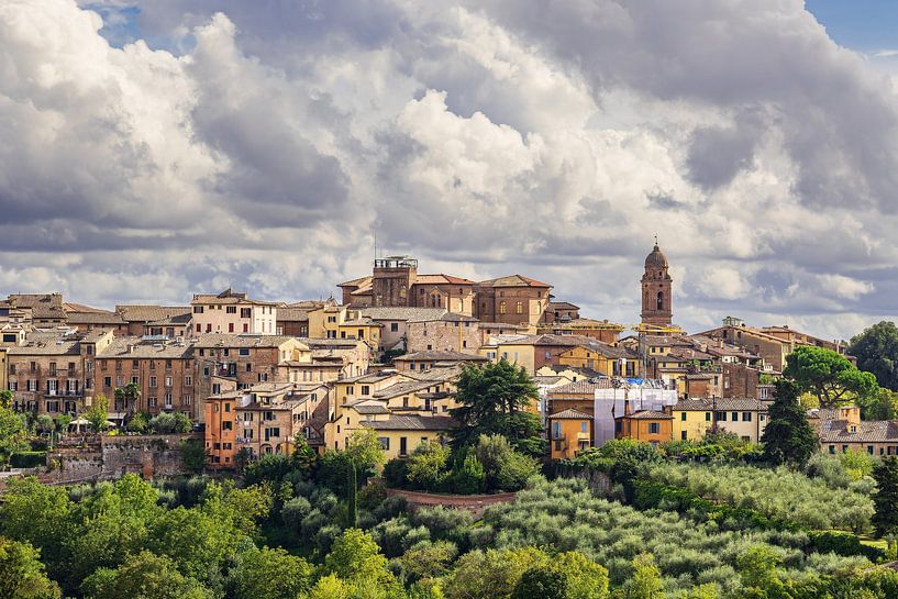 Blick über die Altstadt von Siena in Italien von Rico Ködder