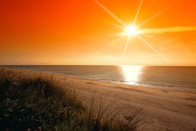Coast by Bo Valentino