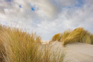Doorkijkje duinen naar strand van Nationaal Park Schiermonnikoog. van Margreet Frowijn