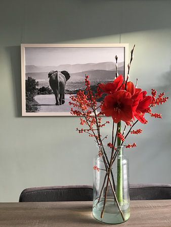 Elephant taking a stroll