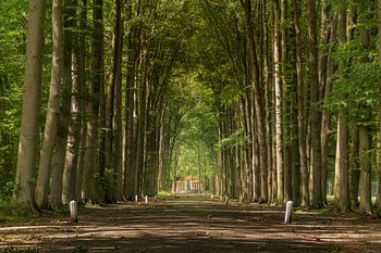 Apeldoorn - Het Loo