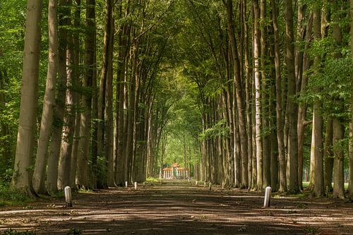 Apeldoorn - Het Loo