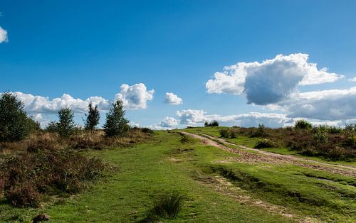 Heide pad op weg naar de hemel?