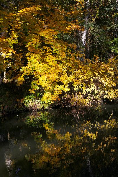 Spreewald by Thomas Jäger