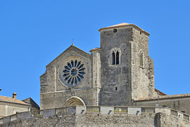 De historische kerk Saint Mary of Consolation in Altomonte, Calabrië van Tomherkules