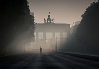 Ochtendmist