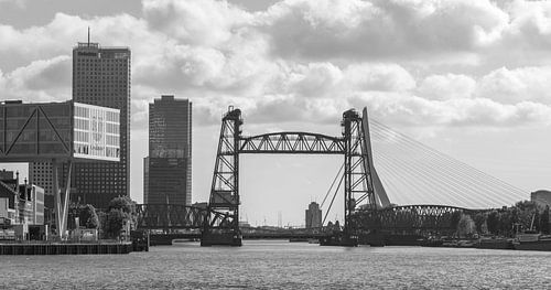 De Hef en het Noordereiland in Rotterdam