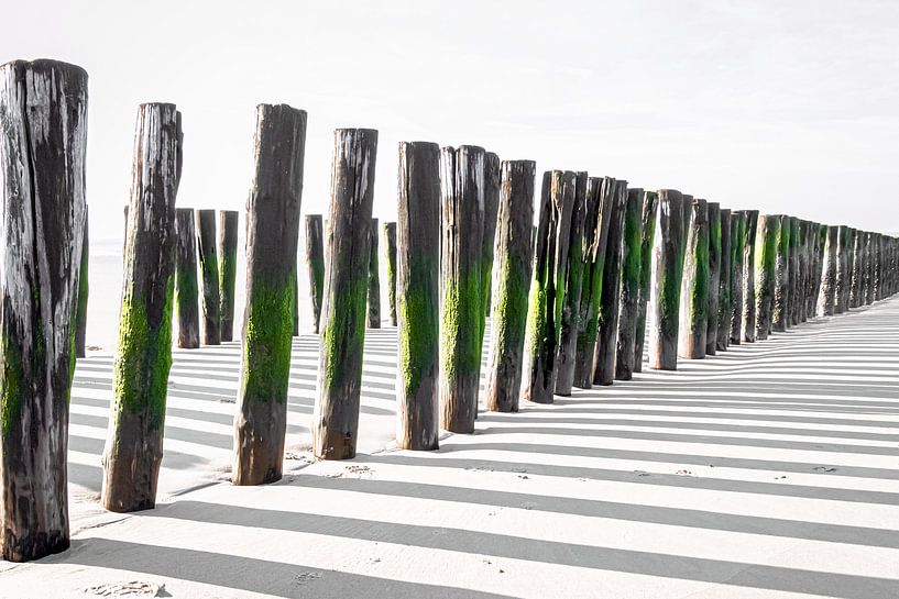 Wit strand in Zeeland met verweerde palen van KiekLau! Fotografie