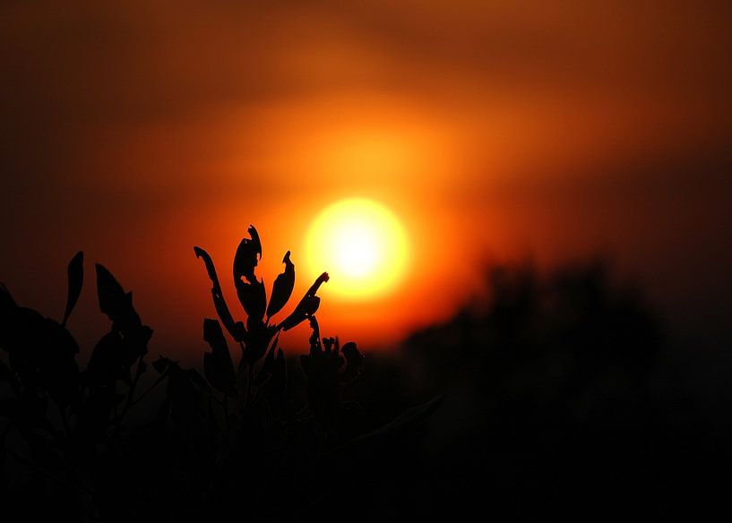Zonsondergang by Jean Mertens