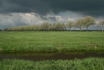 Bomenrij. by Foto EVC