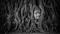 Ayutthaya