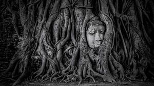 Ayutthaya