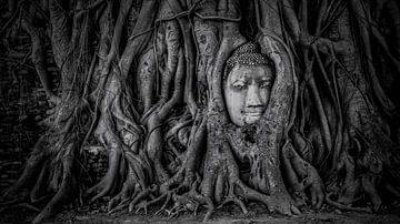 Ayutthaya van Manjik Pictures