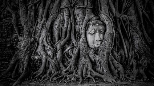 Ayutthaya