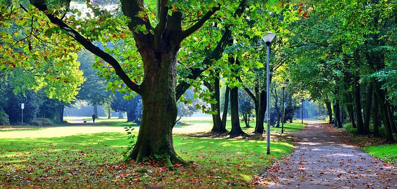 Panorama de la plaine d'inondation dans la lumière du matin par Edgar Schermaul