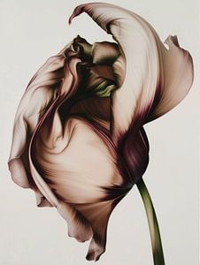 Zusammengesetzte Blumen in Pastell