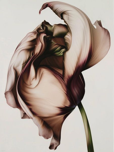 Zusammengesetzte Blumen in Pastell von Carla Van Iersel
