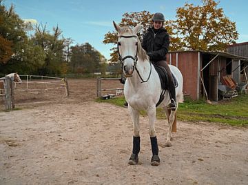 weißes Pferd und Reiterin beim Training auf einem Reitplatz