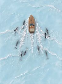 Pod of Dolphins Boat sur HUGO