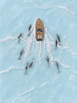 Pod of Dolphins Boat