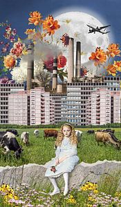 Alice in Netherland