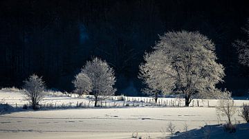 Zweedse winter van Remco van Adrichem