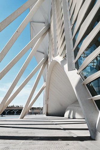 City of Arts and Sciences