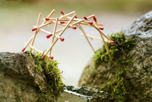 self-supporting bridge by leonardo da vinci built from matches over mossy rocks, selected focus, nar