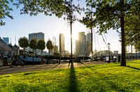 Rotterdam | Zonsopgang in de Veerhaven