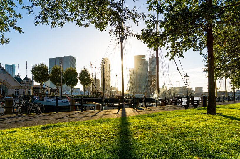 Rotterdam - Lever de soleil sur le Veerhaven par Ricardo Bouman Photographie
