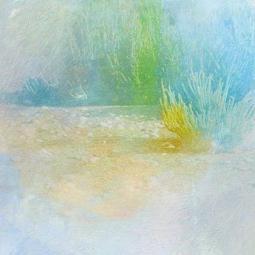 Kwelderkust aan de Noordzee