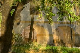 PRAGUE 19 sur Miroslav Ptacek
