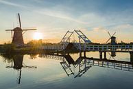 Zomer landschap in Kinderdijk met molens en een ophaalbrug van iPics Photography thumbnail