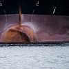 Het schip oogt als een slapende kolos van scheepskijkerhavenfotografie