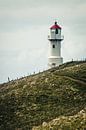 Leuchtturm auf Mykines, Färöer-Inseln von Expeditie Aardbol Miniaturansicht