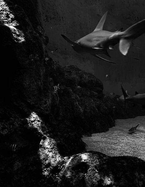 Under the Sea by Hello Pompoyo