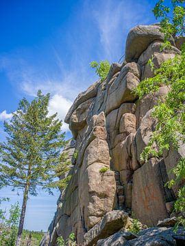 Der Ottofelsen im Harz