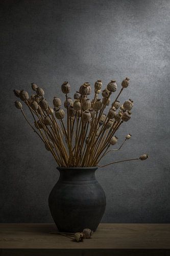 Stilleven met gedroogde papaver in een aardenvaas van John van de Gazelle fotografie