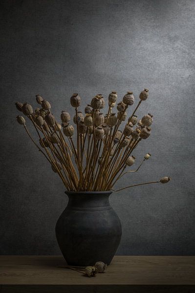 Nature morte avec coquelicot séché dans un vase en terre cuite par John van de Gazelle fotografie