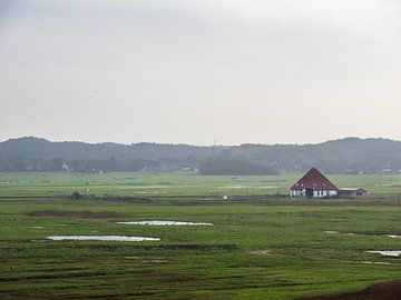 Œuvre d'art néerlandaise