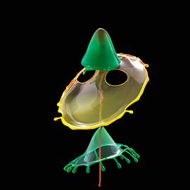 Waterdruppel fotografie van Rob Kempers  Nature-Art-Landscape Photography