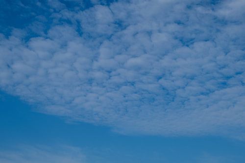 Air, Wassenaarseslag, Wassenaar, Netherlands