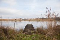 Stijger, Nederland landschap