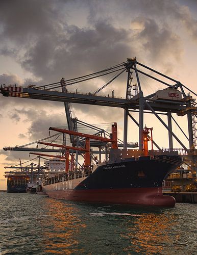 Rotterdam World Gateway (RWG) von Vincent Verdoold Photography