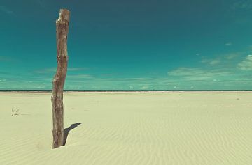 Houten paal op het strand van Hilde Remerie Photography and digital art