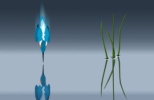 IJsvogel in duikvlucht